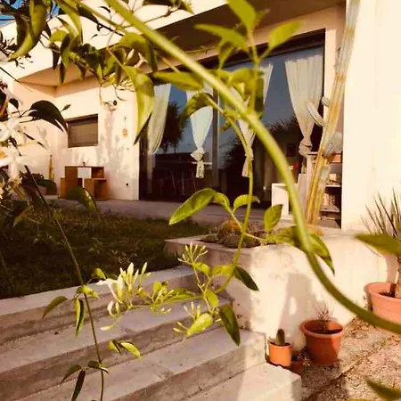 Openhouse - Loft - Casa Al Mare